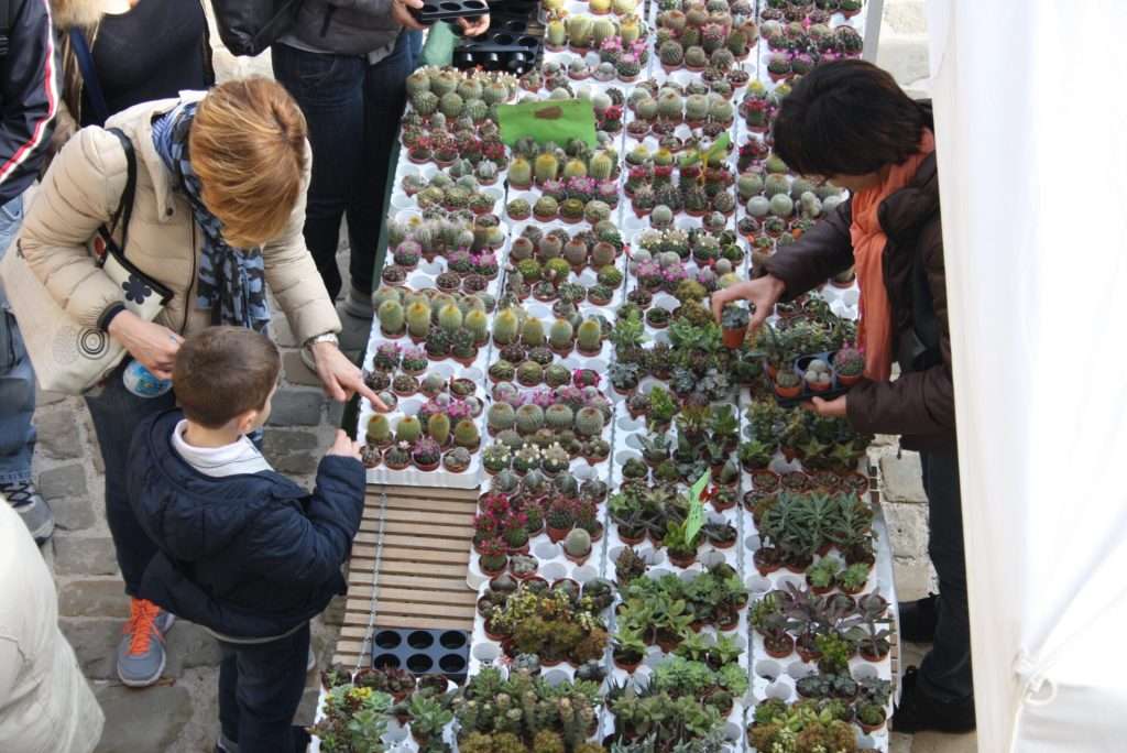 Firenze Flower Show
