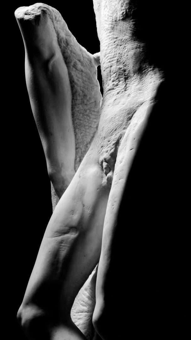 Aurelio Amendola