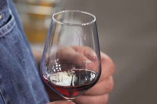Oggi andiamo a conoscere un insieme di ricette - abbinate a vini pregiati della Toscana - a cura del giornalista sardo Giuseppe Carrus, appassionato di enogastronomia. La sua presentazione è su Gambero Rosso dove scopriamo alcuni gustosi abbinamenti con i prodotti dell'azienda Bonacchi.
