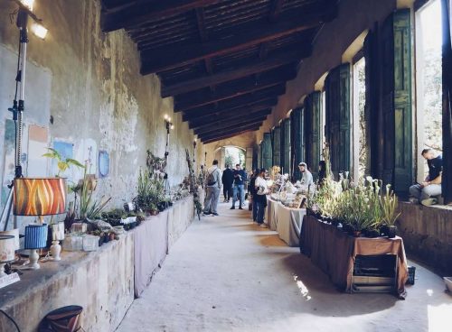 Firenze Flower Show, inserita tra le più importanti fiere florovivaistiche nazionali, è pronta a portare colori, profumi e la meravigliosa Primavera con la mostra mercato di piante rare e inconsuete che giunge alla sua settima edizione primaverile. La location sarà ancora il Giardino Corsini che, nel cuore della città di Firenze, aprirà le sue porte il 5 e il 6 Aprile per farvi entrare nel mondo dei migliori vivaisti e artigiani d'Italia.
