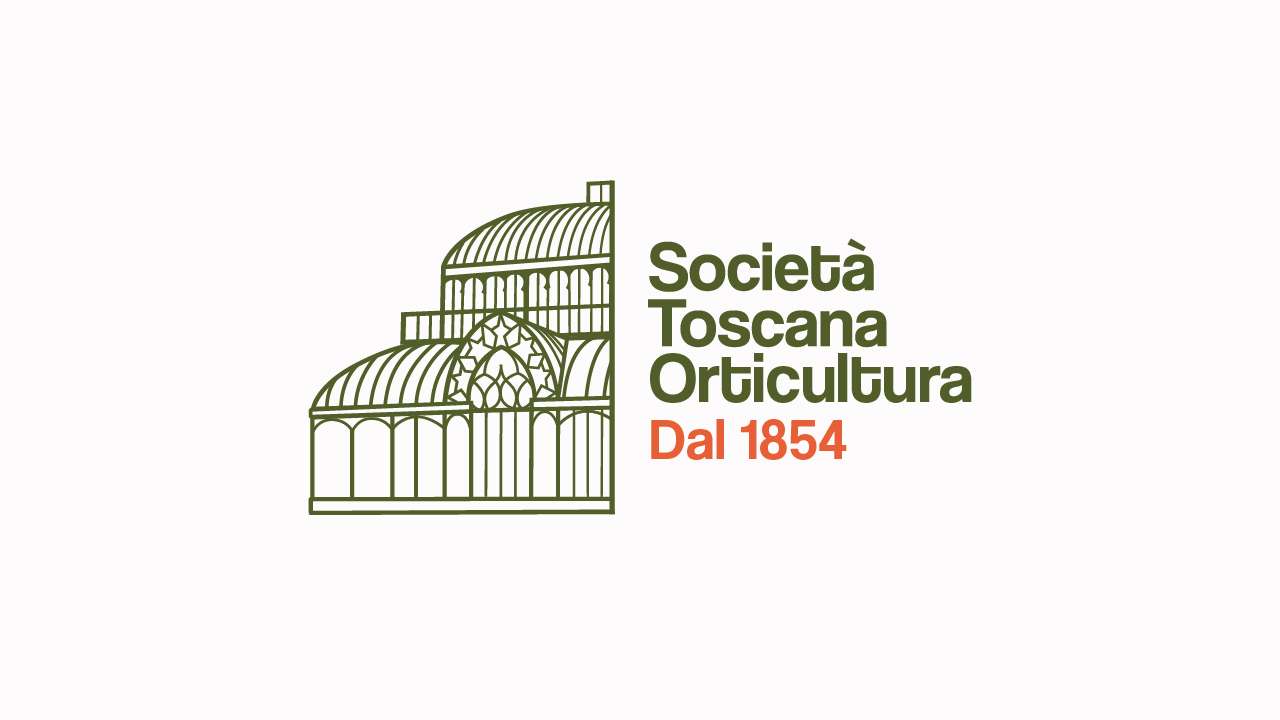 CortoBotanico | Le piante e la città in un film contest di 96 ore.