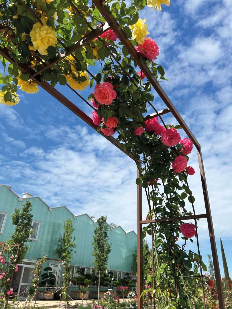 NaturArt Village: territorio, sostenibilità e comunità