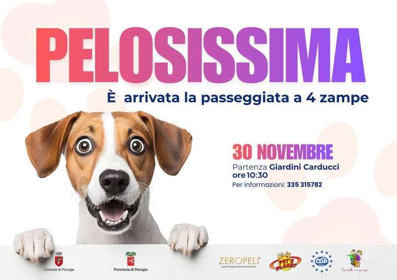 pelosissima evento perugia novembre 2025