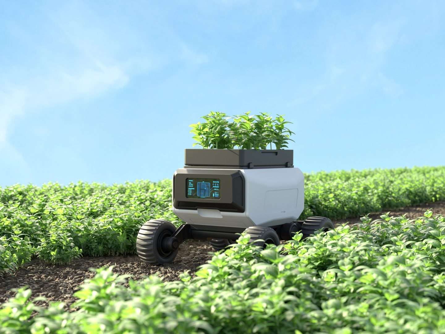 Robot