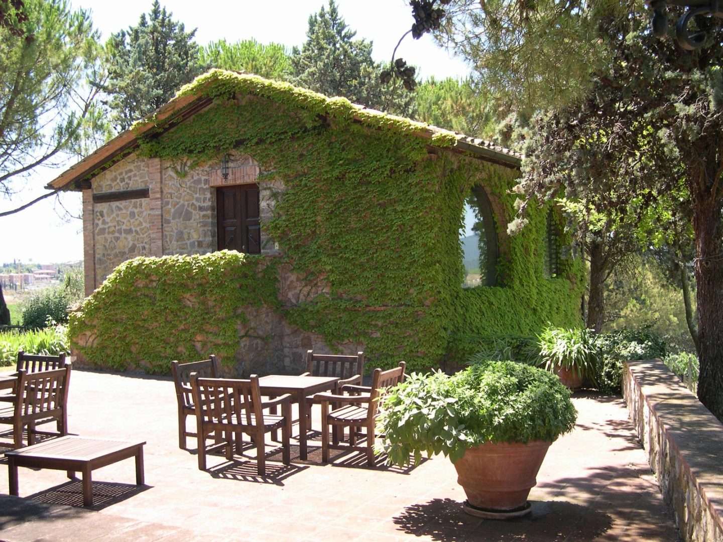 Casalino Bonacchi vini 