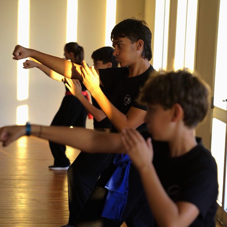 È da questa visione che nasce, all’interno di SinergiKa Festival, l’esperienza dedicata ai più piccoli e curata dalla scuola ITKA Pistoia: un laboratorio che unisce movimento creativo, arti marziali, fantasia e consapevolezza, trasformando il Kung Fu in uno strumento educativo da vivere attraverso il gioco.